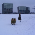 Sneeuw 9 januari 2010 002