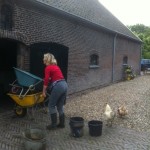photo 03